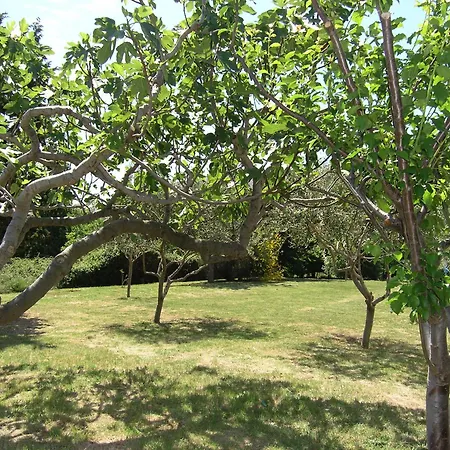 Aventura Baska II Apartments For Relaxing Holidays Апартаменты Башка